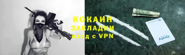 прущие грибы Аркадак