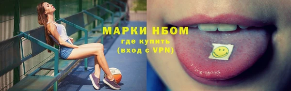 прущие грибы Аркадак