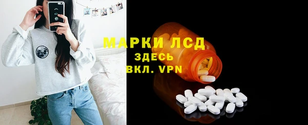 PSILOCYBIN Алзамай