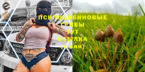 PSILOCYBIN Алзамай