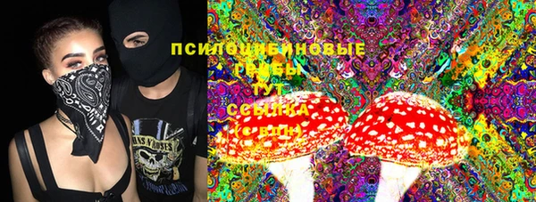 прущие грибы Аркадак