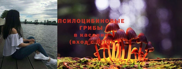 гидра Алексин