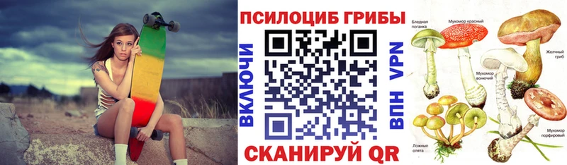 Галлюциногенные грибы Cubensis Губкин