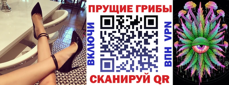 купить закладку KRAKEN зеркало Псилоцибиновые грибы прущие грибы Губкин